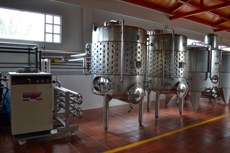 cave-CANNES-min_wine_production_cantine_winery_drink_alcohol_vine_beverage-902036